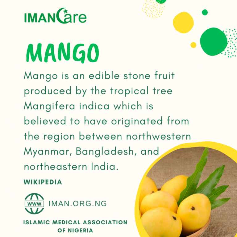 Mango – IMANCARE 006